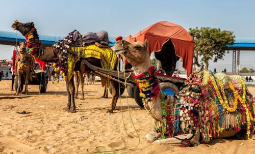 Tajmahal with Pushkar Fair Tour Package